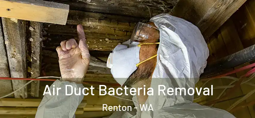 Air Duct Bacteria Removal Renton - WA
