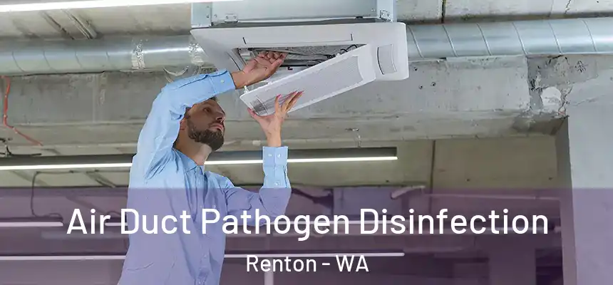 Air Duct Pathogen Disinfection Renton - WA