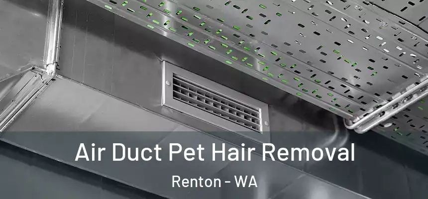 Air Duct Pet Hair Removal Renton - WA