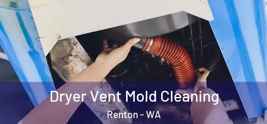Dryer Vent Mold Cleaning Renton - WA