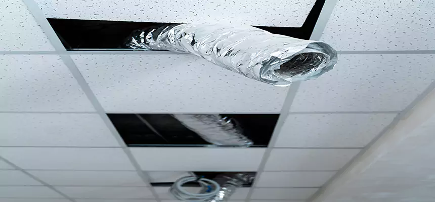 Affordable HVAC Sanitizing After Pest Removal in Renton