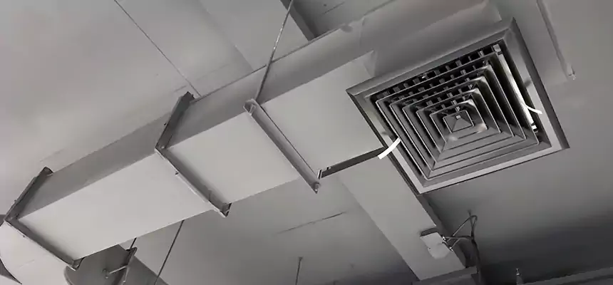 Restorative Allergy Relief Vent Cleaning – Coil, Blower & Housing Detail in Renton