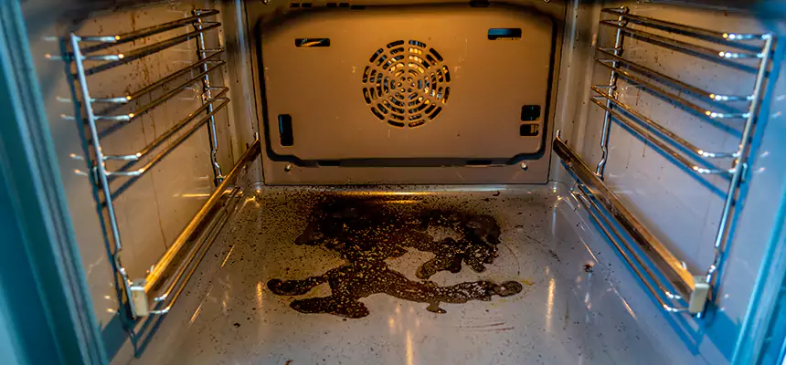 Our Dryer Vent Mold Cleaning Services in Renton, WA