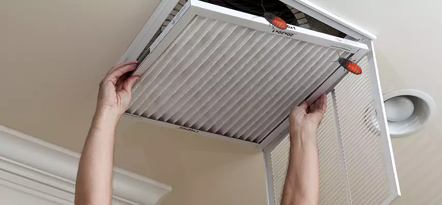 Our Insect Removal from Air Ducts Services in Renton, WA