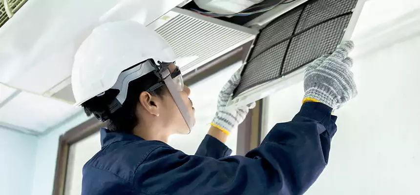 Our Mold & Mildew Removal from Air Ducts Services in Renton, WA