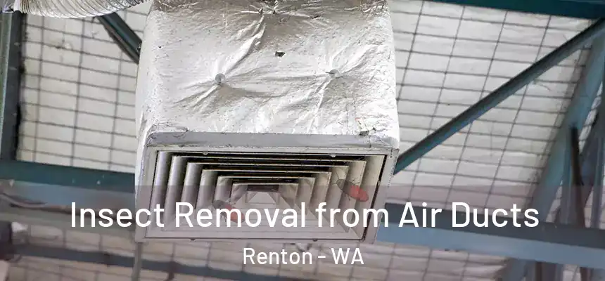 Insect Removal from Air Ducts Renton - WA