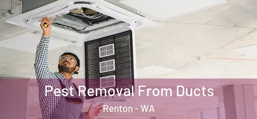 Pest Removal From Ducts Renton - WA