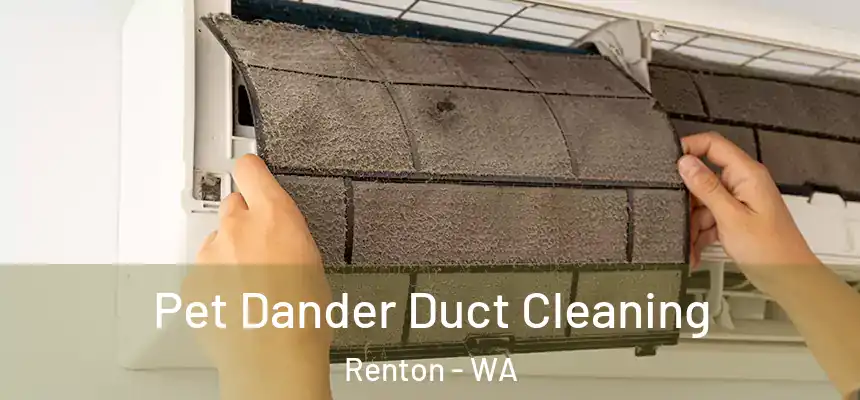 Pet Dander Duct Cleaning Renton - WA