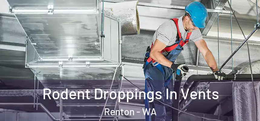  Rodent Droppings In Vents Renton - WA