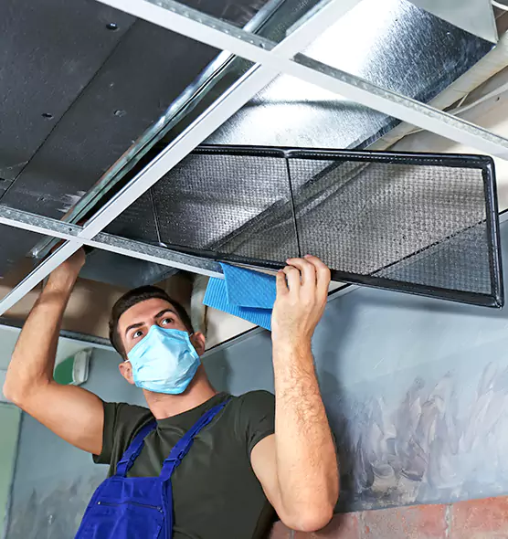 About Air Duct Bacteria Removal in Renton