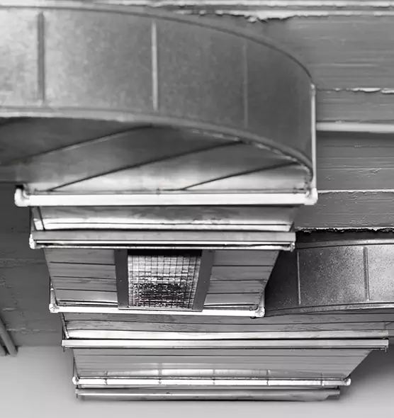 Professional Air Duct Pest Removal in Renton, WA