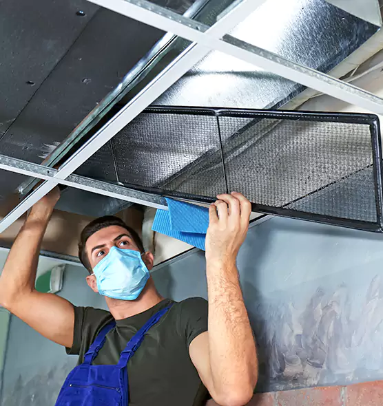 Professional Air Duct Pollen Cleaning in Renton, WA