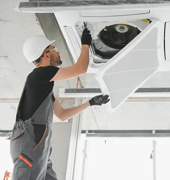 About Air Duct Rodent Removal in Renton, WA