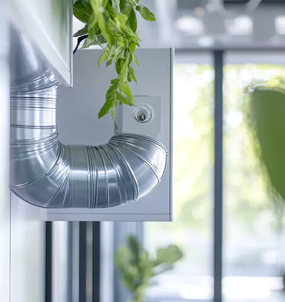 Professional Eco-Safe Dryer Vent Cleaning in Renton, WA