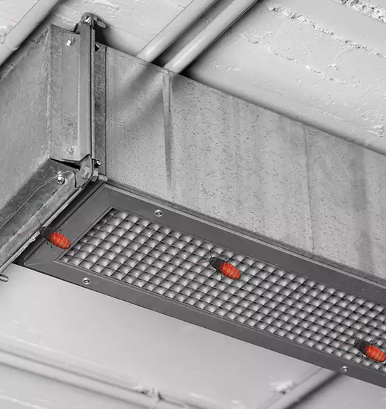 Affordable Insect Removal from Air Ducts in Renton, WA