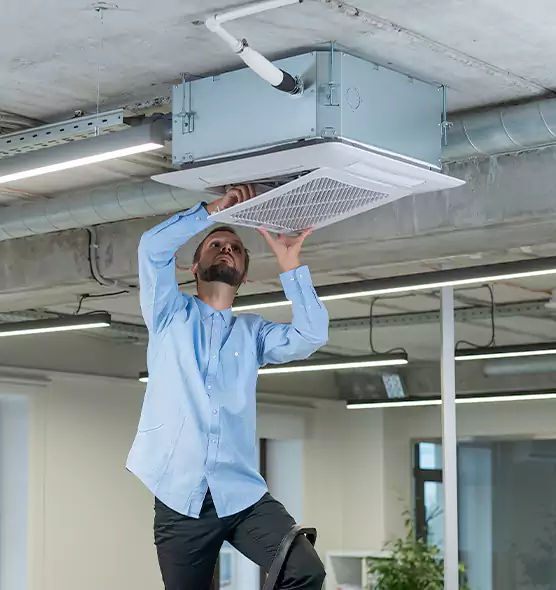 Advanced Rodent Droppings In Vents in Renton, WA