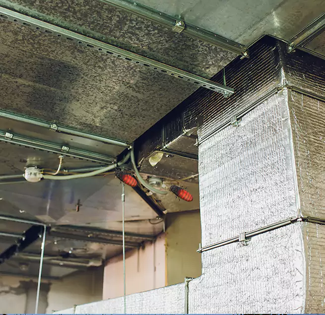 Why Homeowners & Businesses Trust Us in Renton, WA?