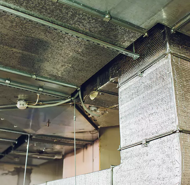 Why Homeowners & Businesses Trust Us in Renton, WA?