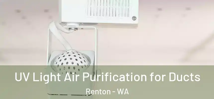 UV Light Air Purification for Ducts Renton - WA